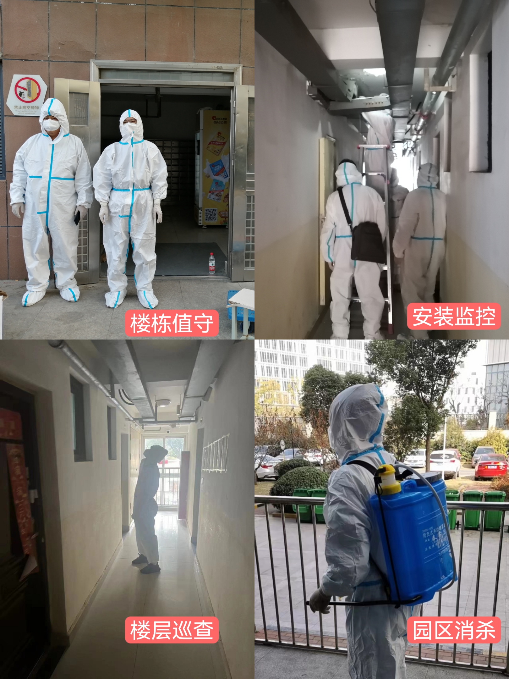 东升国际官网-追求康健,你我一起生长